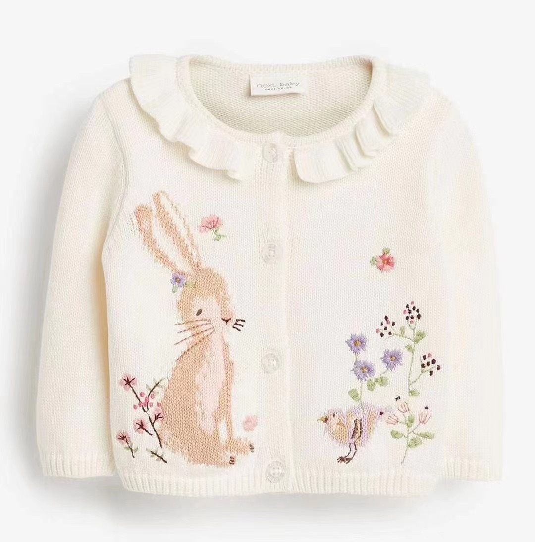 2025 Spring Autumn children's  - Baby Clothing Jumpers incelemesi ve fiyatı